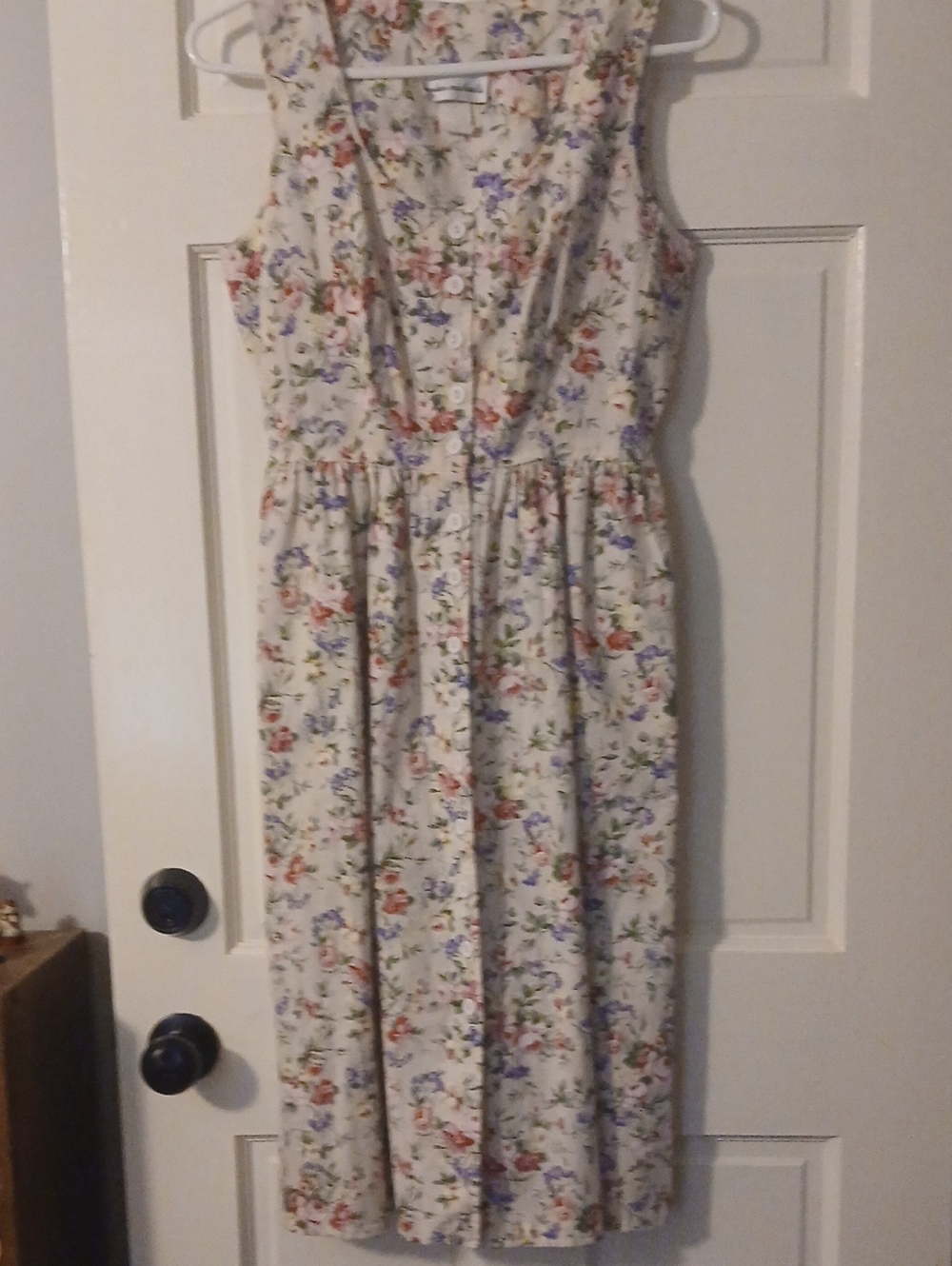 By & BY Sleeveless Cream Floral Button-Front Dress